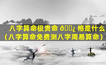 八字算命极贵命 🌿 格是什么（八字算命免费测八字周易算命）